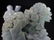 CHINESE LARGE LAVENDER JADE KOI w CHILDREN CARVING - 9