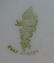 2pc MINTON & LIMOGES FRANCE PORCELAIN PLATTERS - 8