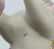 CYBIS 'CAROUSEL HORSE' PORCELAIN FIGURINE - 8