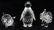 3pc SWAROVSKI CRYSTAL ANIMALS w BOXES