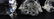 3pc SWAROVSKI CRYSTAL ANIMALS w BOXES - 3