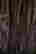 item-61406781=4
