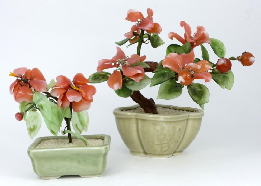 2pc CHINESE BONSAI TREES IN CELADON PLANTERS (1 of 9)