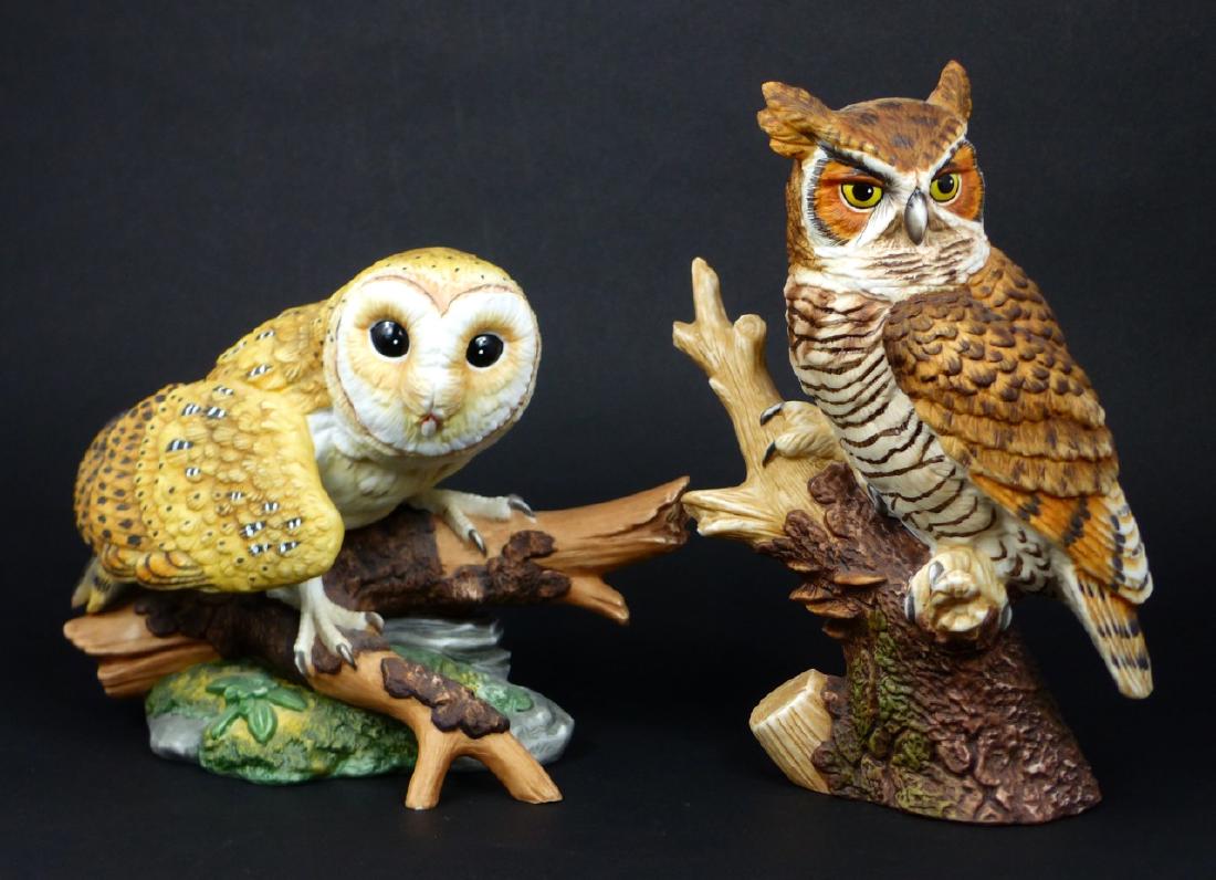 2pc HAMILTON COLLECTION GREAT HORNED & BARN OWL (1 of 8)