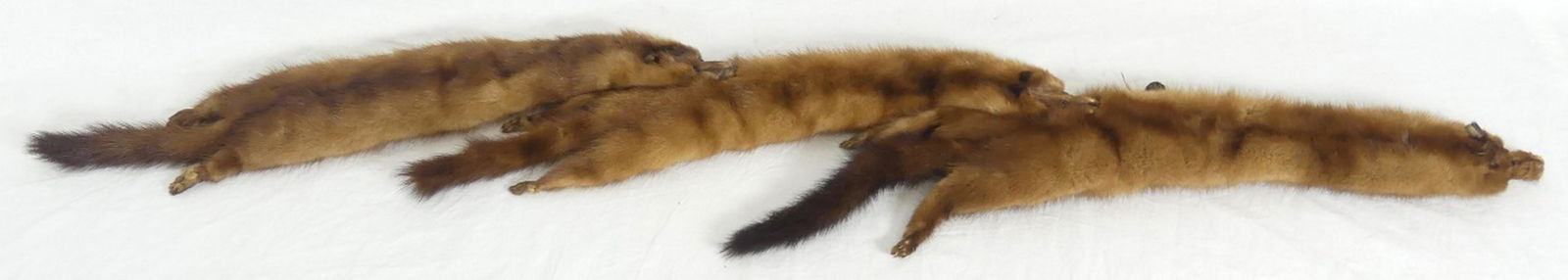 2pc MINK FUR SCARVES: 2 Mink fur scarves. One comprised of three whole pelts-50". Second having flared ends with five tail tassels to one end-61".