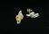 PR TIFFANY STERLING & 14kt YG EARRINGS - 2