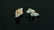PR TIFFANY STERLING & 14kt YG EARRINGS - 3