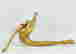 item-108819591=3
