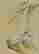 item-109046341=3