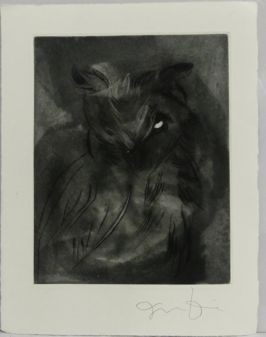 JIM DINE 'OWL' ETCHING (1 of 6)