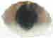 item-120521406=7
