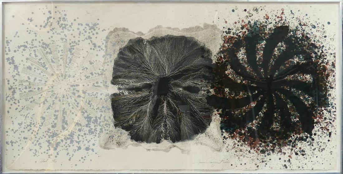 JAMES ROSENQUIST 'BLACK TIE' LITHOGRAPH (1 of 7)