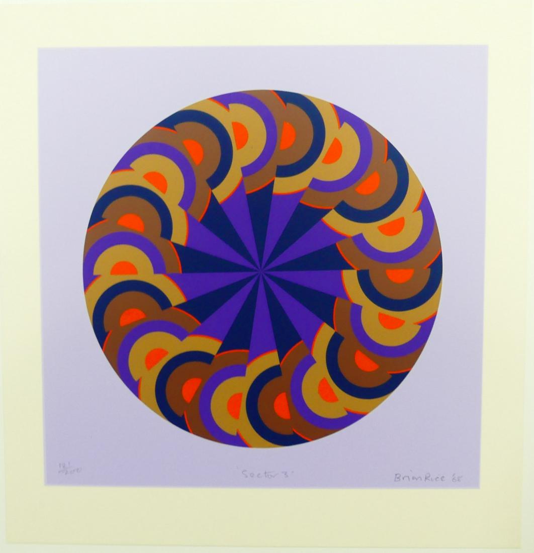BRIAN RICE 'SECTOR 3' SCREENPRINT (1 of 9)