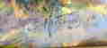 item-131901917=4