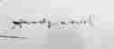 item-131901920=4