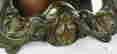 item-131901961=2