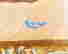 item-131902051=6