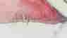 item-131902071=6