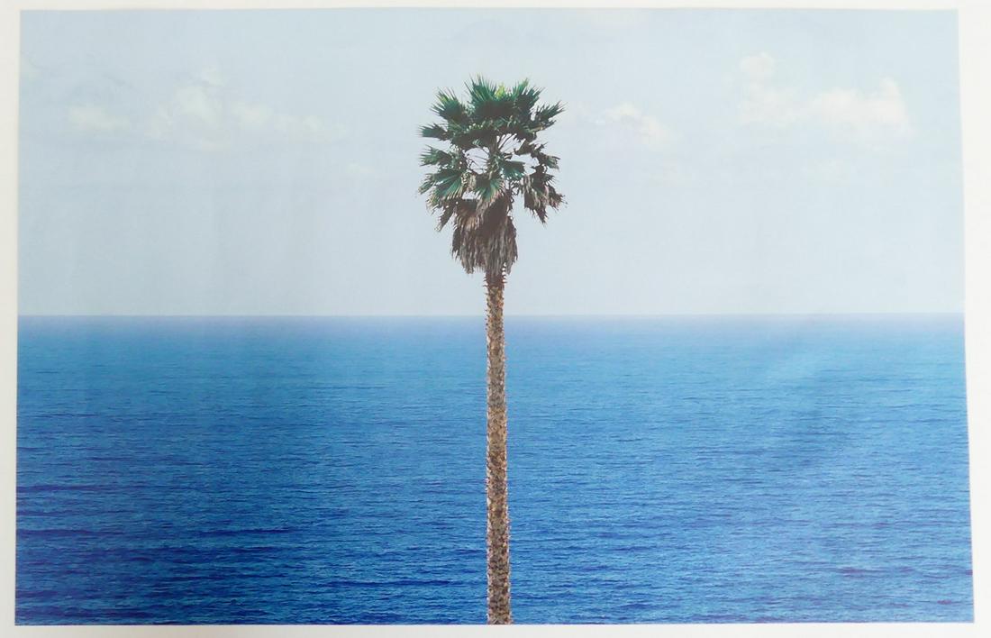 Palm tree/seascape/ジョン バルデッサリ/額装ポスター John Baldessari | 'Palm Tree/Seascape' (framed) **ON SALE