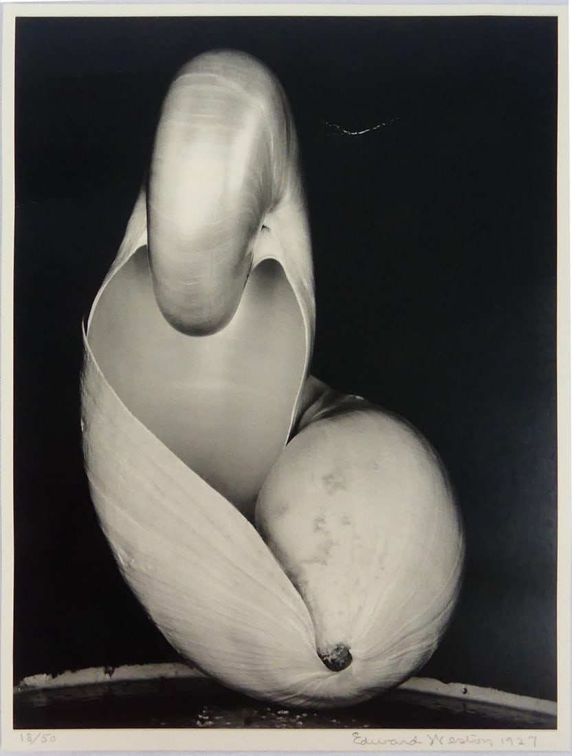 EDWARD WESTON 'TWO SHELLS' SIGNED PHOTO-LITHO (1 of 5)