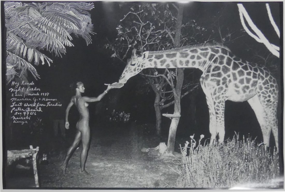 PETER BEARD 'GIRAFFE FEEDING' PHOTO-LITHO (1 of 4)