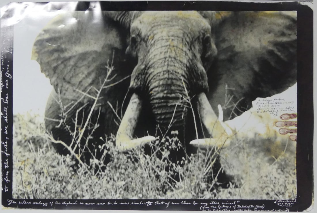 PETER BEARD 'AFRICAN ELEPHANT' PHOTO-LITHO: Peter Beard photo-litho depicting an African Elephant. Sheet measures 36" x 24".