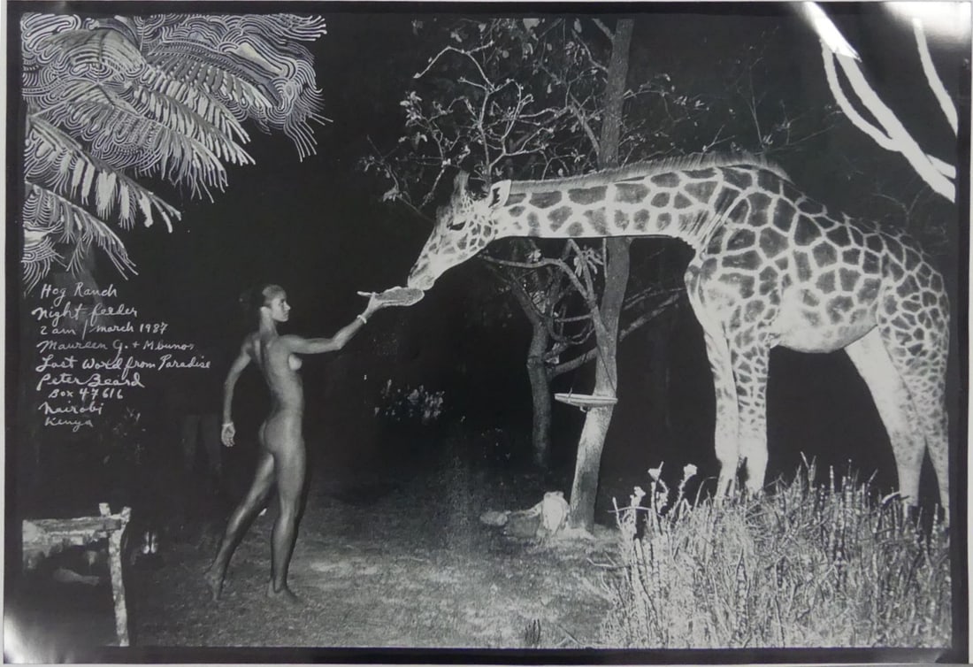 PETER BEARD 'GIRAFFE FEEDING' PHOTO-LITHO: Peter Beard photo-litho depicting a woman feeding giraffe. Sheet measures 36" x 24".