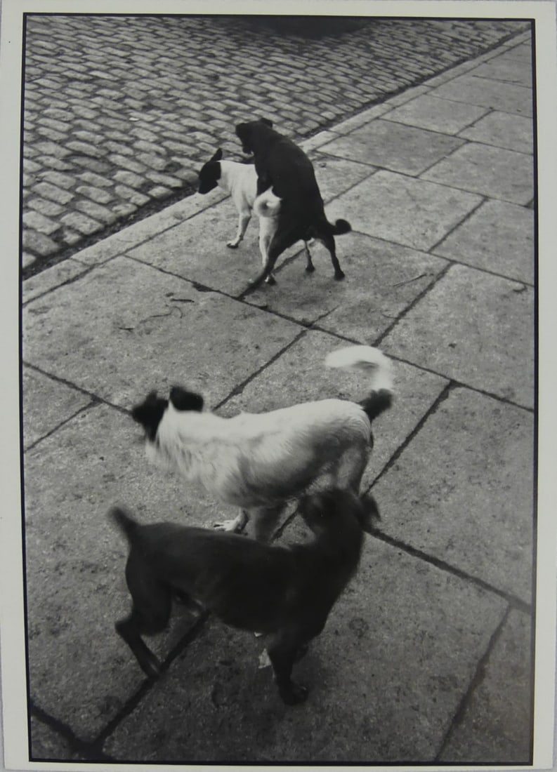 HENRI CARTIER-BRESSON 'DOGS, PARIS' PHOTO LITHO: Henri Cartier-Bresson 'Dogs, Paris' photo litho. Mounted. Measures 9" x 6 1/4".