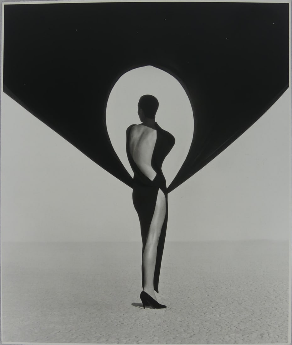 HERB RITTS 'VERSACE DRESS, BACK VIEW' PHOTO (1 of 4)