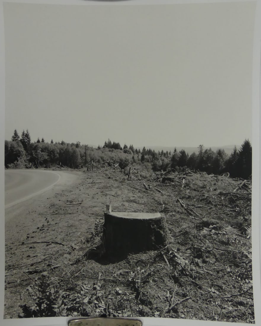 ROBERT ADAMS 'TURNING BACK' PHOTO LITHO: Robert Adams 'Turning Back' photo litho. Sheet measures 21 1/4" x 17".