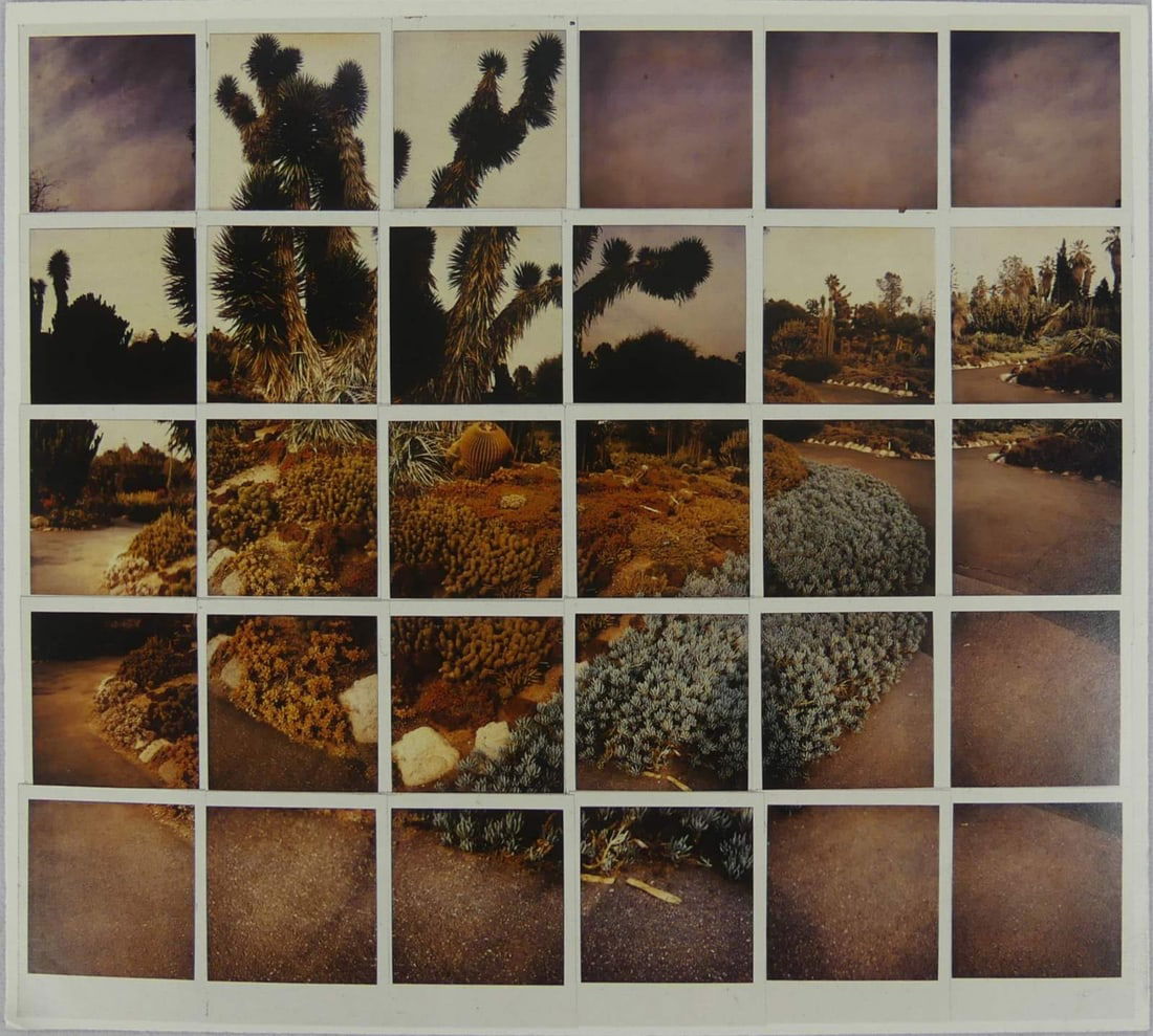 DAVID HOCKNEY 'CACTUS GARDEN' PHOTO LITHO (1 of 3)