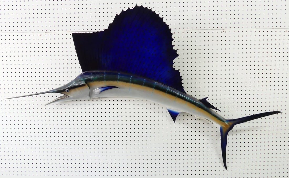 SAILFISH TAXIDERMY FISHING TROPHY (1 of 5)