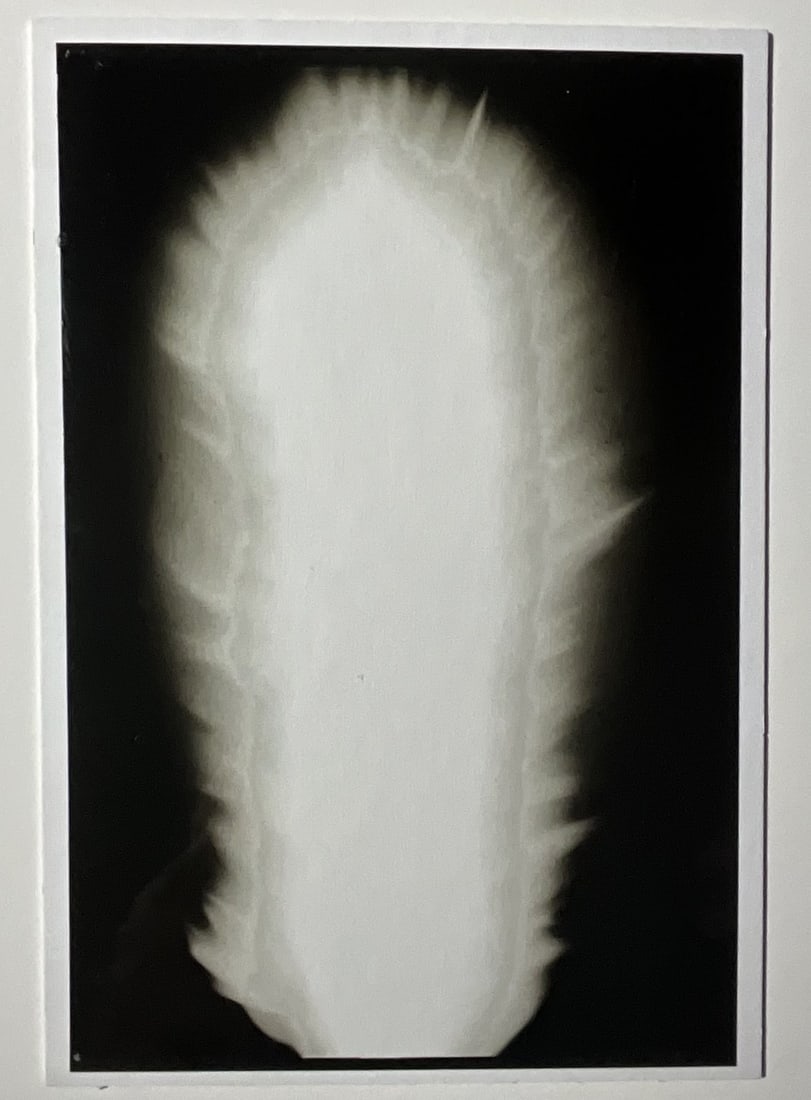 HIROSHI SUGIMOTO 'IN PRAISE OF SHADOW' PHOTO-LITHO (1 of 6)