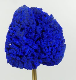 YVES KLEIN BLUE SPONGE SCULPTURE w BRASS STAND