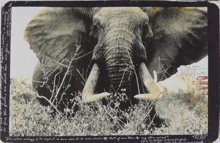 PETER BEARD 'AFRICAN ELEPHANT' PHOTO-LITHO