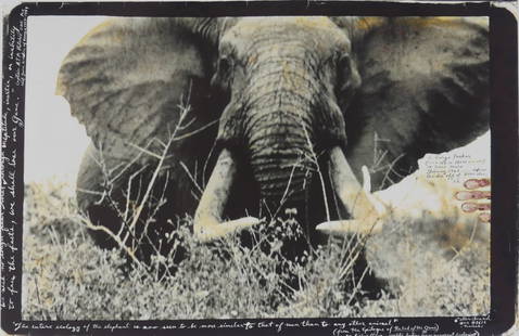 PETER BEARD 'AFRICAN ELEPHANT' PHOTO-LITHO: Peter Beard photo-litho depicting an African Elephant. Sheet measures 36" x 24".