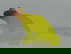 item-208616651=3