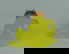 item-208616651=4