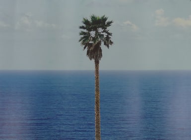 JOHN BALDESSARI 'PALM TREE' SIGNED LITHOGRAPH