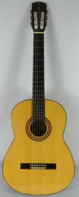 ELVIS PRESLEY OWNED KAY KDG50 GUITAR