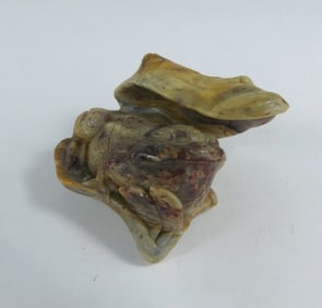 CHINESE CARVED HARDSTONE TOAD SCULPTURE