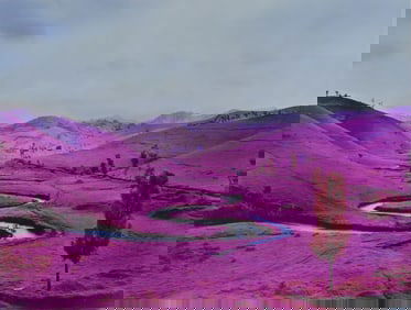 RICHARD MOSSE 'THE ENCLAVE' PHOTO-LITHO