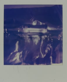 ANDY WARHOL ESTATE POLAROID