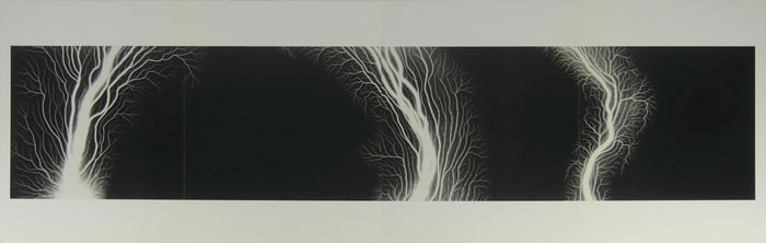 HIROSHI SUGIMOTO 'LIGHTNING FIELDS' PHOTO-LITHO