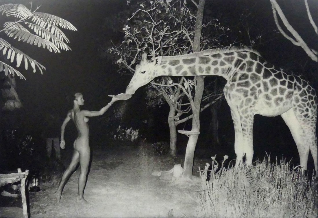 PETER BEARD 'GIRAFFE FEEDING' PHOTO-LITHO (1 of 7)