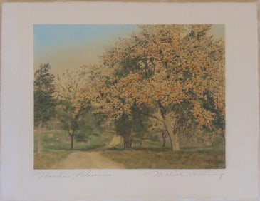WALLACE NUTTING 'MOUNTAIN BLOSSOMS' LITHOGRAPH