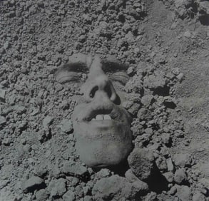 DAVID WOJNAROWICZ 'UNTITLED, FACE'