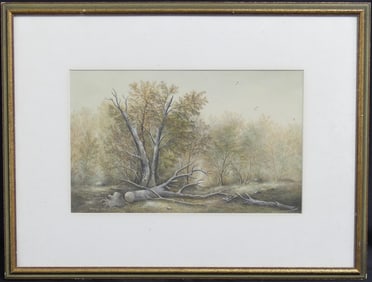 THOMAS TONY PENCIL DRAWING ON PAPER