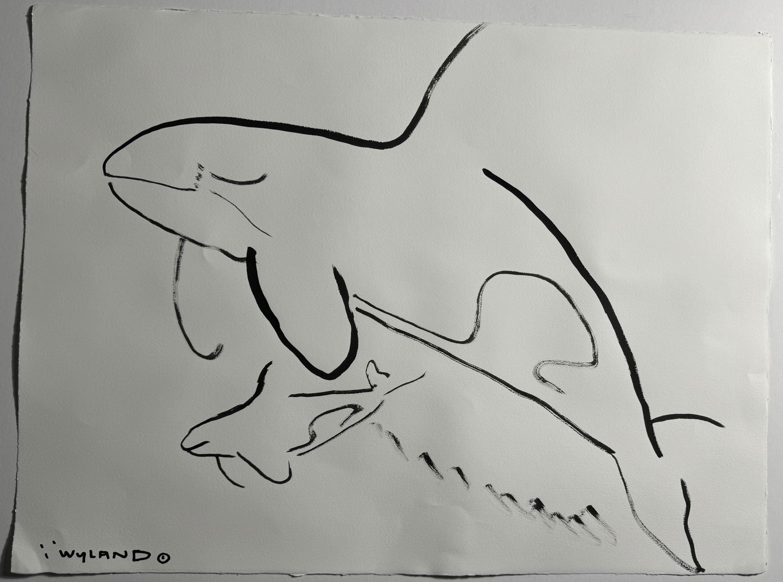 ROBERT WYLAND 'DOLPHINS' INK ON PAPER: Robert Wyland (American) 'Dolphins' Ink on paper. Measures 22 x 30 inches Signed lower side.