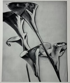 MAN RAY 'FLOWERS' PHOTO-LITHO